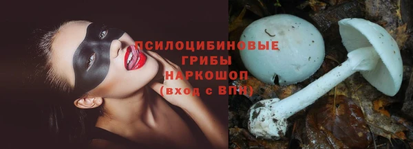 соль ск Алексин