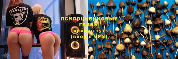 прущие крисы Алексеевка