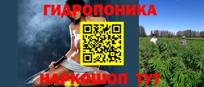 СК Абинск