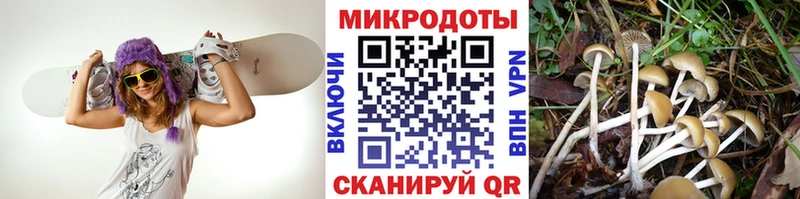 omg рабочий сайт  Лобня  Галлюциногенные грибы мицелий 