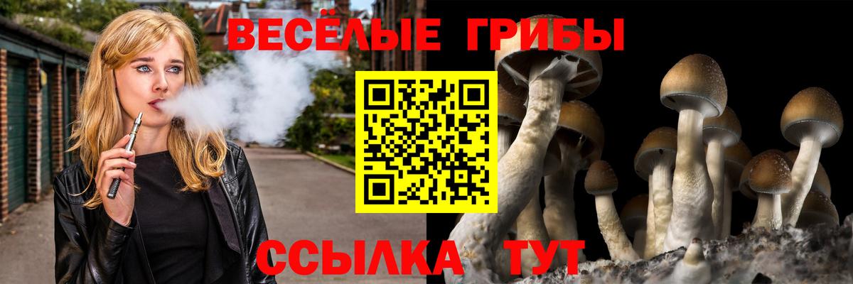 Галлюциногенные грибы Psilocybe  Вход с VPN  Галлюциногенные грибы прущие грибы  Лобня 