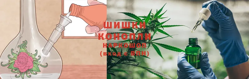 mega ССЫЛКА  Лобня  Шишки марихуана OG Kush  где продают  